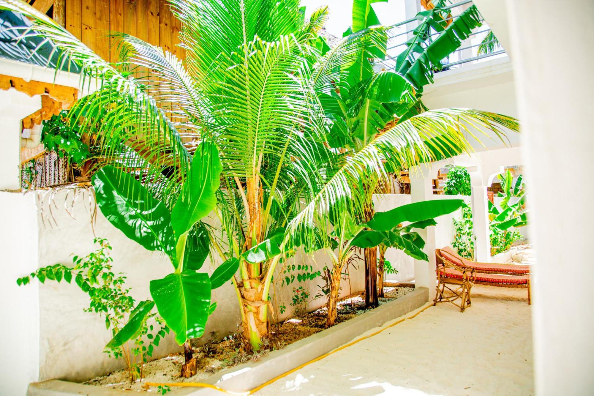 Pamoja Beach Stays Hotel In Jambiani Jambiani  Buitenkant foto